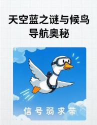 候鸟自带？解密天空蓝与迁徙黑科技！