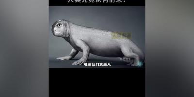 从地球诞生到人类文明：探索人类起源与生命漫长进化历程 .人类起源的化石证据