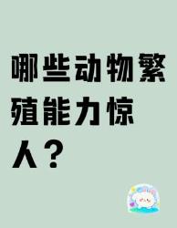 这些动物繁殖力强到离谱！看完直呼动了