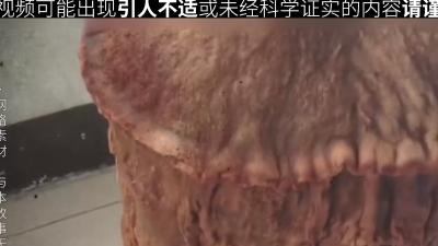 男子工地挖出疑似太岁肉球，当晚工友发狂酿祸，太岁却神秘消失 .太岁