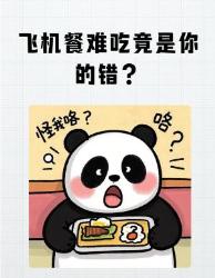 救命！原来飞机餐难吃真不怪厨师？！个冷知识颠覆认知