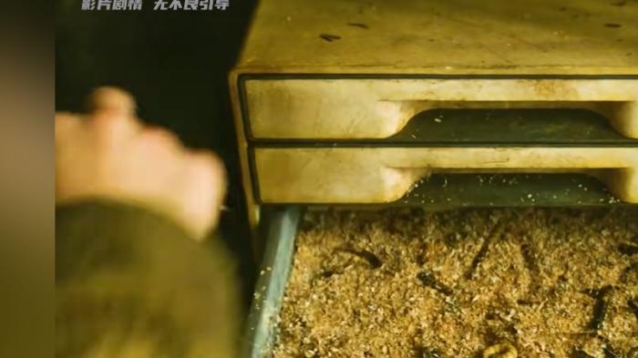 末世女孩维斯珀历经磨难，破解种子枷锁后播撒希望告别城堡开启新生 .维斯珀大结局-[原创首发]-吾爱文案网