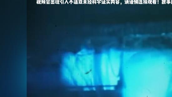 上世纪90年代山东蔡徐村，护林员二叔巡山途中惊遇“生魂”奇事 .民间灵异故事