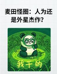 麦田怪圈终极解密！人为外星真相让你惊掉下巴！