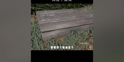 鬼才发明的木盒地雷，外观普通却藏炸药，多种触发方式让敌人有来无回 .木盒地雷