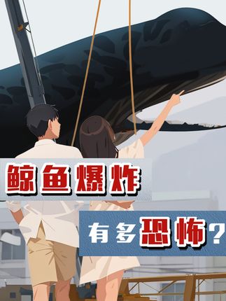 惊！2004 年台中市闹市抹香鲸爆炸，带你揭秘鲸爆恐怖真相