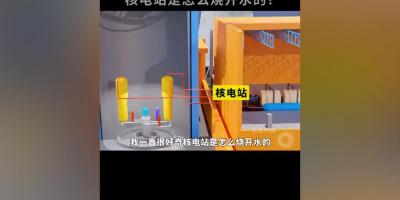 探秘核电站：从反应堆原理到烧开水发电全过程大揭秘 .干燥蒸汽