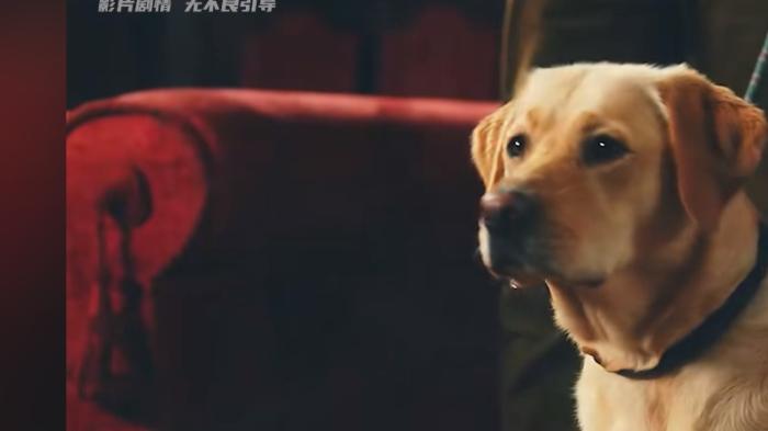 一口气看犯罪美剧《绅士们》：遗产纷争下众角色的曲折罪恶商业之路    .绅士们第二季-[原创首发]-吾爱文案网