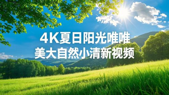 4K夏日阳光唯美大自然小清新视频