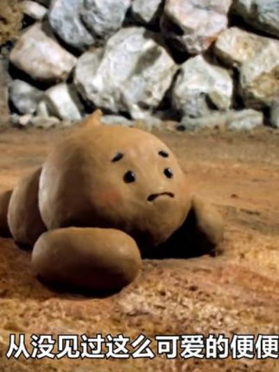 动画短片：被弃便便多吉普探寻生命意义，终成花留下足迹