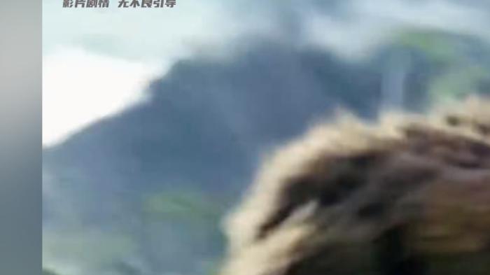 金刚与哥斯拉历经波折化解误会，联手对抗刀疤王，终获胜利回归生活 .金刚骷髅岛三部曲-[原创首发]-吾爱文案网