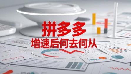 拼多多增速后何去何从 ，围绕 “高速增长见顶之后，拼多多该往哪里转舵” 核心意思，凸显对其在增长放慢后未来走向的探索  。