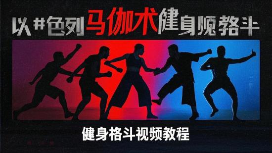 以色列马伽术健身格斗视频教程
