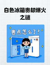 白色冰箱贵到离谱却卖爆？这个真相我赌你不知道！