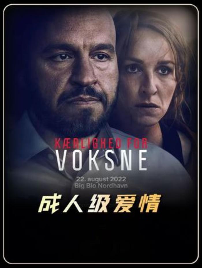《成人级爱情》：结婚二十年女子频生疑，夫妻间上演惊悚悬疑情事-[原创首发]-吾爱文案网