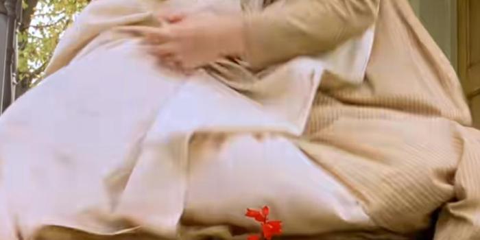 神秘村庄因红引怪物袭击，村民历经波折后靠送肉换得平静生活 .神秘村-[原创首发]-吾爱文案网