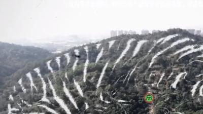 风水背景下叶家因祖坟危机频发，李成风解难途中又遇农村黑煞怪事 .16个未解之谜