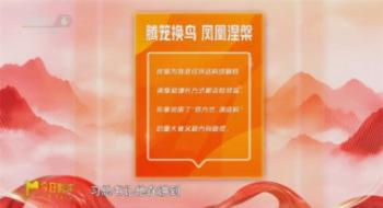 中国影戏向新力 | 深度剖析中国影戏的工业新契机
