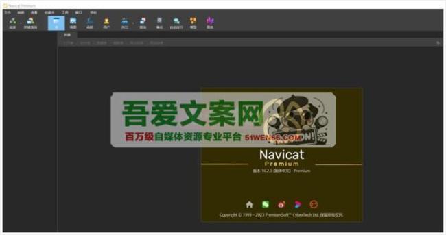Navicat Premium 数据库管理工具_V17.1.12 PC高级版[原创资源]