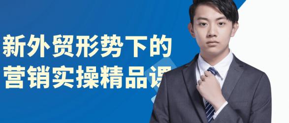 新外贸形势下的营销实操精品课【吾爱】