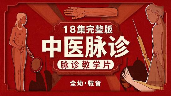 18集完整版中医脉诊教学片
