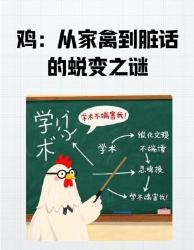 从餐桌到脏话！谁把鸡字玩坏了？冷知识暴击