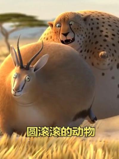 《动物因胖闹笑话：伊姆豹摔亡、猎豹失食，众动物趣态百出》
