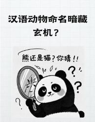 汉语冷知识为什么鸭子要带子，鸡却不用？