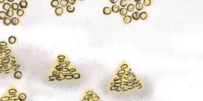 老汉靠奇特“好事”轻松赚金豆子，历经波折后捐金获国王奖赏改变命运 .我的观影报告