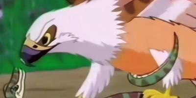 小青蛇被老鹰捕杀引蛇王复仇，小猎鹰险死还生后打败蛇王终回男孩身边 .动画片