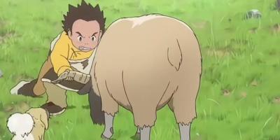 男孩草原放羊历经黑熊、狼群危机，藏獒争斗又现生死波折 .藏獒多吉结局