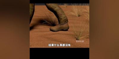 男人踩雷初无恙却是跳雷，解析其构造、触发及巨大杀伤力 .跳雷