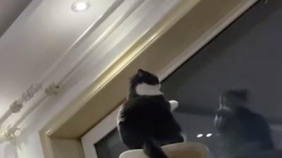 老家蔡徐村李忠平遇老黑猫怪异举动，爷爷去世又闻怪声，究竟咋回事 .老烟鬼