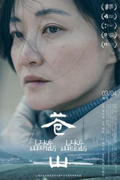 《苍山》“苍山”，我们回家了！