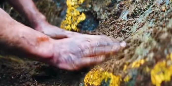 男人挖坑欲活埋自己却挖出金山，换挖掘机途中遇逃兵险丧命 .永生战士-[原创首发]-吾爱文案网