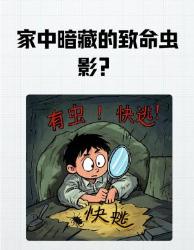 家中这种虫子会致命！最后一个家庭都有