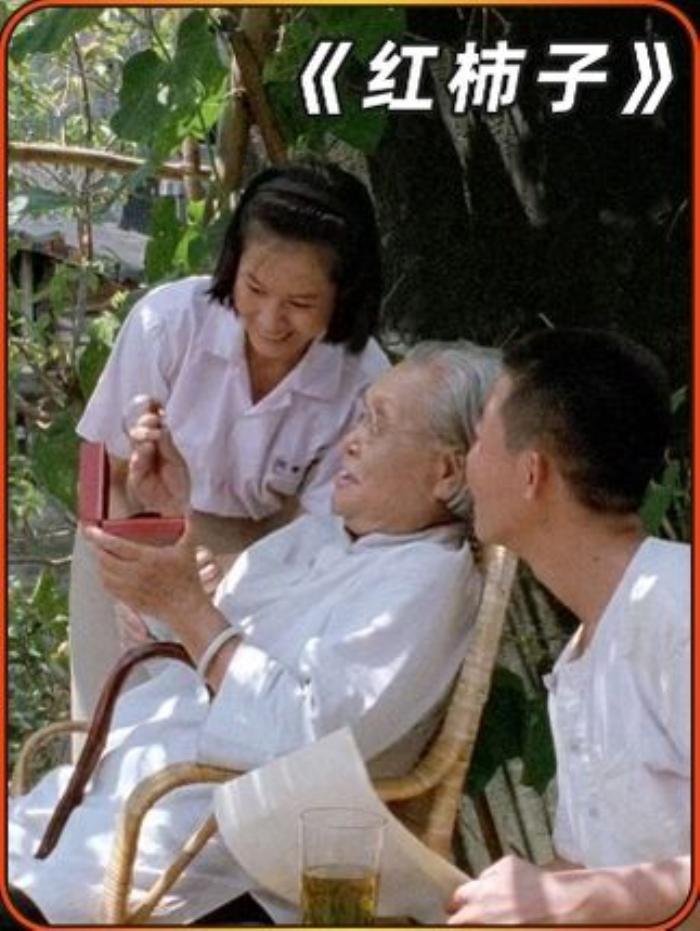 《红柿子》：国军将军败退台湾成平民，一家人在时代变迁中的生活写照-[原创首发]-吾爱文案网