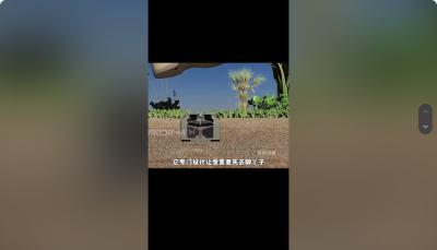 M14“炸脚地雷”：塑料外壳难探测，小威力却致士兵终身残疾引争议 .土豆地雷