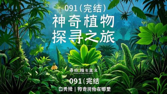 091【完结】神奇植物探寻之旅 （如果觉得这个风格可以接受需要精简，也可以：091【完结】神奇植物在哪里 ）