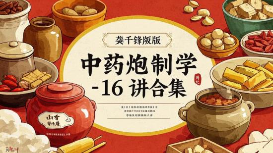 龚千锋版中药炮制学16讲合集