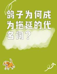 鸽子竟成拖延症之王？解密网络热词诞生记！