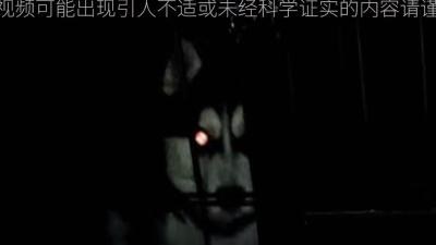 乡下少年与灵犬大黑的惊悚经历：诡异老太来袭，大黑舍命护主 .狗对着空气狂叫是为什么