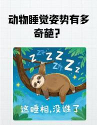 动物界逆天睡姿大赏涨姿势预警！动物迷惑行为
