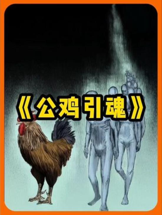 《公鸡引魂》：2010 年河南一村庄，引魂鸡失踪后朴家发生诡异之事