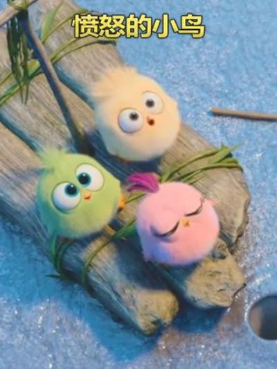 《愤怒的小鸟：三只小鸟意外成蛇妈，历经波折的治愈冒险故事》