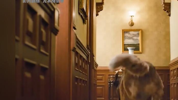 宠物狗巴克历经多任主人，在冒险中觉醒野性终成狼群首领 .《野性的呼唤》巴克-[原创首发]-吾爱文案网