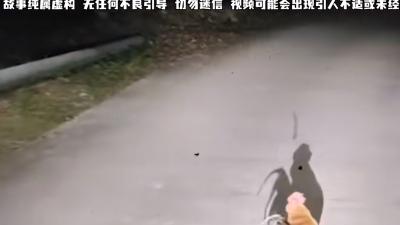 蔡徐村爱坤父亲葬礼缺引魂鸡，高价买来后却引发一系列离奇事件 .蔡徐村