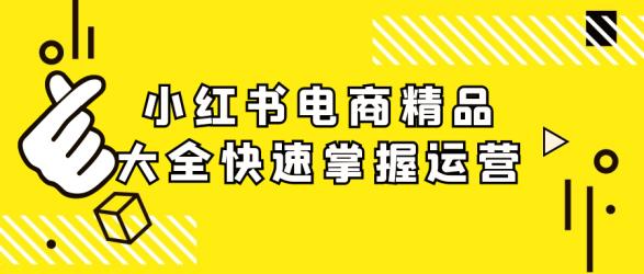 小红书电商精品大全快速掌握运营【】