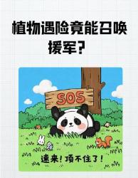 植物遇险竟能召唤援军？大神操作堪比军事防御系统