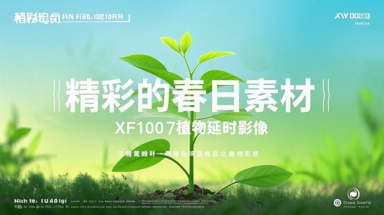 精彩的春日素材，XF1007植物延时影像